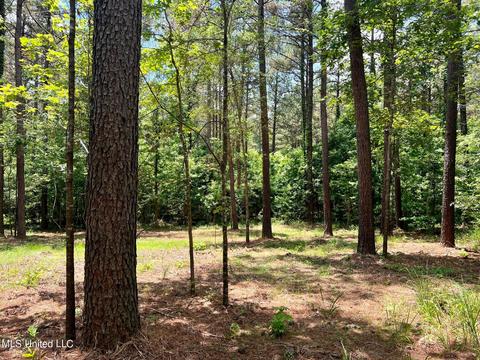 Spring Creek Rd, Flora, MS 39071 photo 9