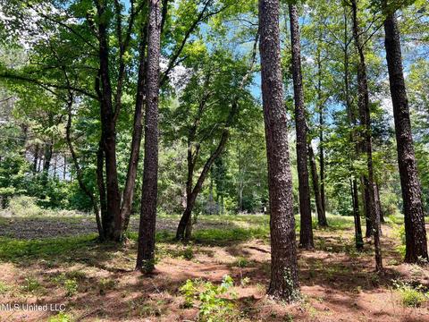 Spring Creek Rd, Flora, MS 39071 photo 6