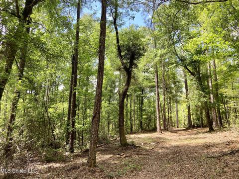 1 Basin Refuge Rd, Lucedale, MS 39452