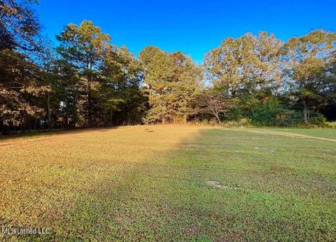 402 E Willow Dr, Braxton, MS 39044 photo 22