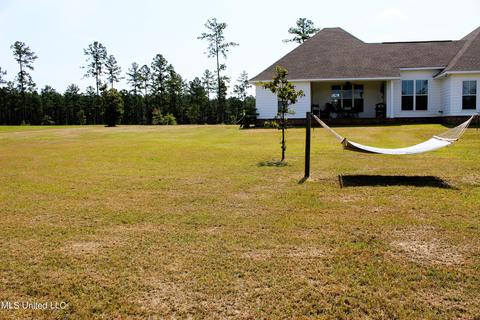 161 Homestead Rd, Lucedale, MS 39452 photo 63
