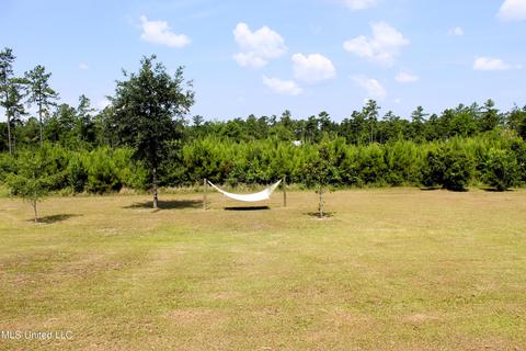 161 Homestead Rd, Lucedale, MS 39452 photo 60