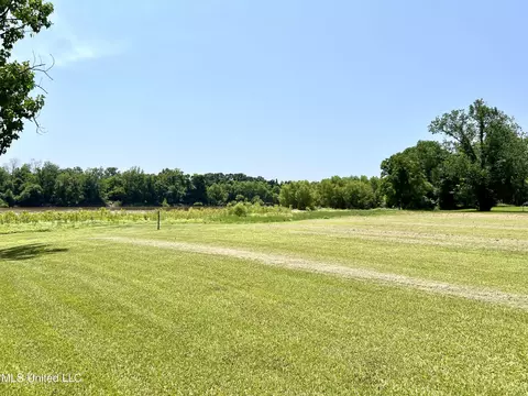 124 Plum Bluff Rd, Lucedale, MS 39452 photo 35