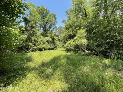 Kickapoo Road, Clinton, MS 39056 photo 2