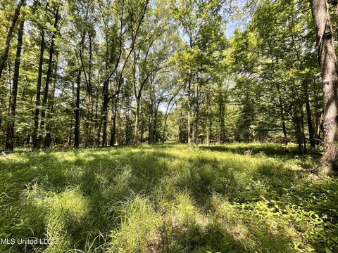 Kickapoo Road, Clinton, MS 39056 photo 3