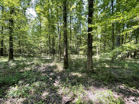 Kickapoo Road, Clinton, MS 39056 photo 4