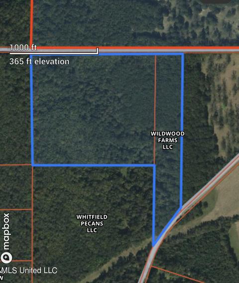 Kickapoo Road, Clinton, MS 39056 photo 7