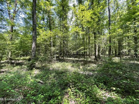 Kickapoo Road, Clinton, MS 39056 photo 5