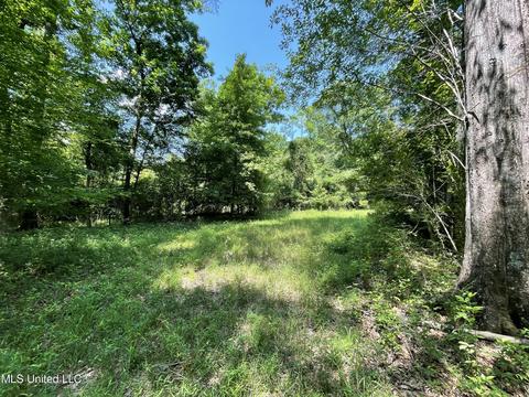 Kickapoo Road, Clinton, MS 39056 photo 6