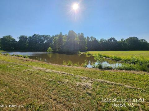 1515 Starlanding Rd, Nesbit, MS 38651 photo 1