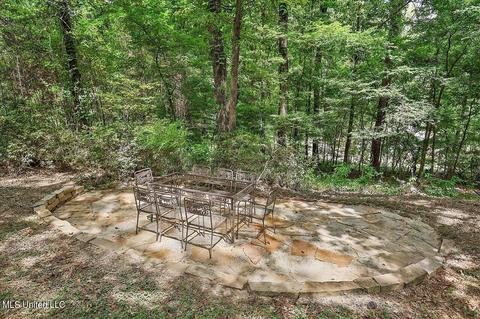 389 Dover Ln, Madison, MS 39110 photo 55