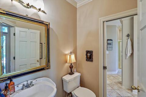 389 Dover Ln, Madison, MS 39110 photo 35