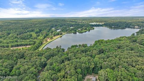 389 Dover Ln, Madison, MS 39110 photo 64