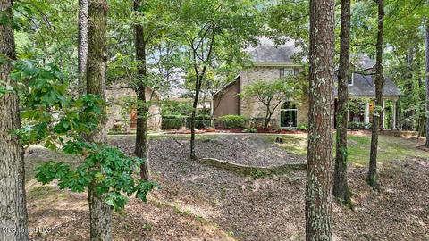 389 Dover Ln, Madison, MS 39110 photo 59