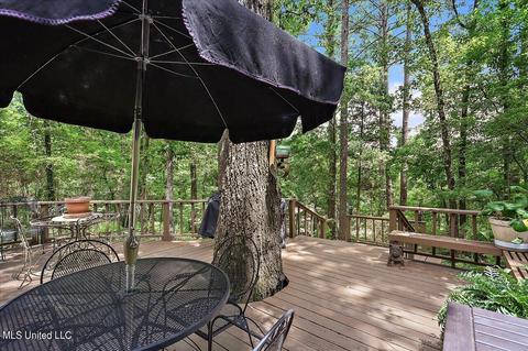 389 Dover Ln, Madison, MS 39110 photo 46