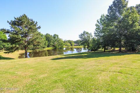 205 Lakeside Cv, Terry, MS 39170 photo 53