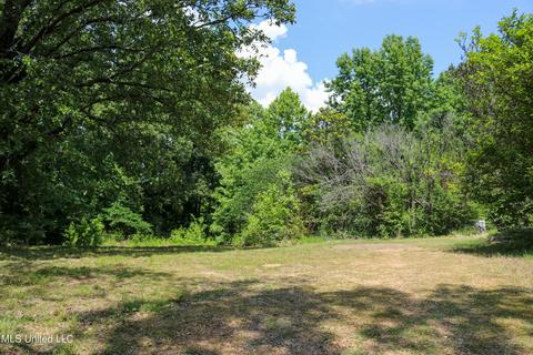 389 Goliath Rd, Coldwater, MS 38618 photo 4