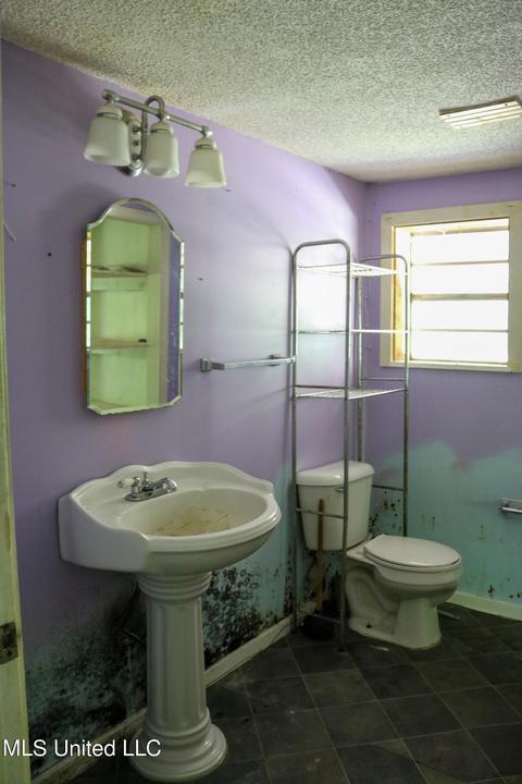 389 Goliath Rd, Coldwater, MS 38618 photo 18