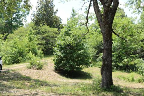 389 Goliath Rd, Coldwater, MS 38618 photo 8