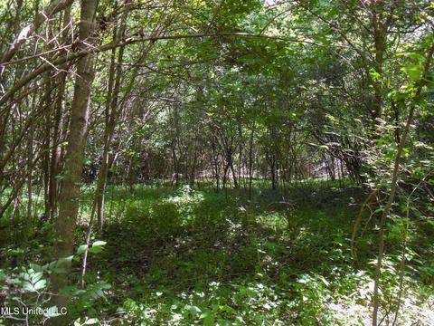 389 Goliath Rd, Coldwater, MS 38618 photo 6
