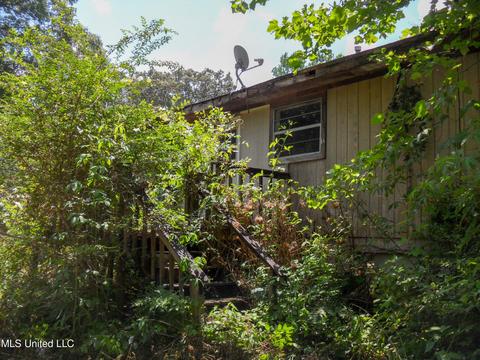 389 Goliath Rd, Coldwater, MS 38618 photo 25