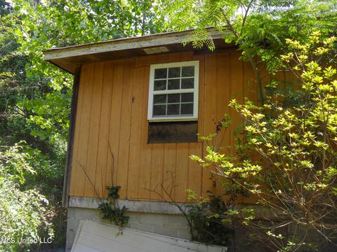 389 Goliath Rd, Coldwater, MS 38618 photo 24