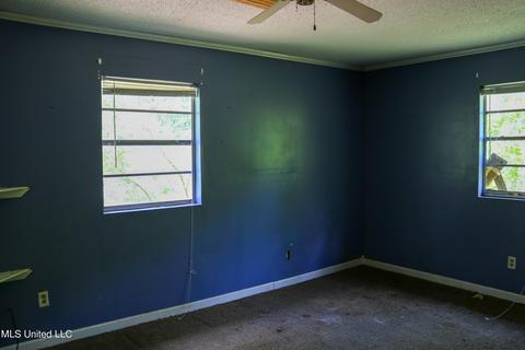 389 Goliath Rd, Coldwater, MS 38618 photo 17
