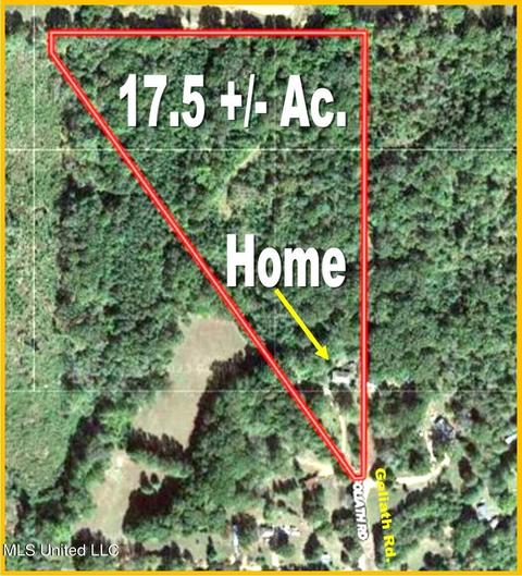 389 Goliath Rd, Coldwater, MS 38618 photo 3