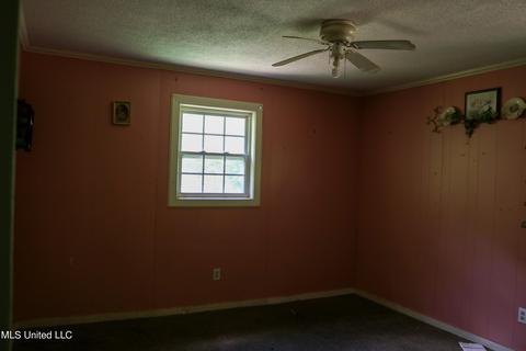 389 Goliath Rd, Coldwater, MS 38618 photo 22