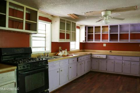 389 Goliath Rd, Coldwater, MS 38618 photo 12