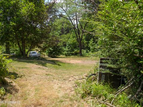 389 Goliath Rd, Coldwater, MS 38618 photo 7