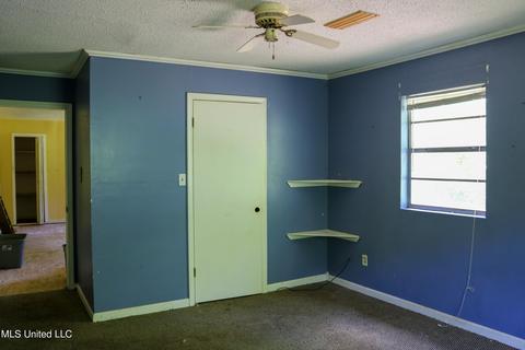 389 Goliath Rd, Coldwater, MS 38618 photo 16
