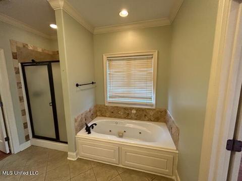 111 Trailbridge Bnd, Canton, MS 39046 photo 19
