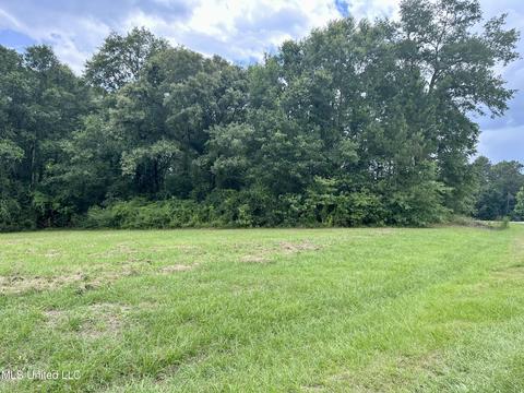 0 Bay Meadows Dr Lots 74 75, Carriere, MS 39426