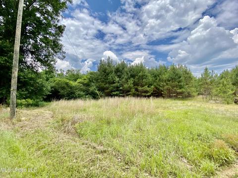 0002 Walker Smith Rd, Florence, MS 39073 photo 4