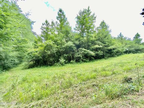 0002 Walker Smith Rd, Florence, MS 39073 photo 5