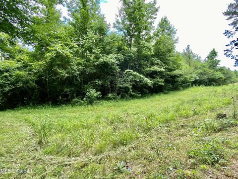 0002 Walker Smith Rd, Florence, MS 39073 photo 2