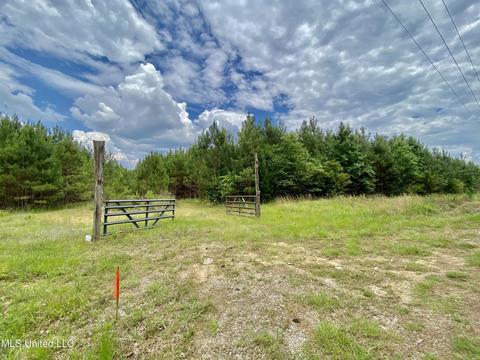 0002 Walker Smith Rd, Florence, MS 39073 photo 3