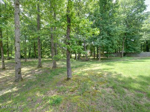 1751 Scout Cv, Nesbit, MS 38651 photo 47