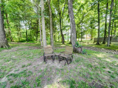 1751 Scout Cv, Nesbit, MS 38651 photo 44