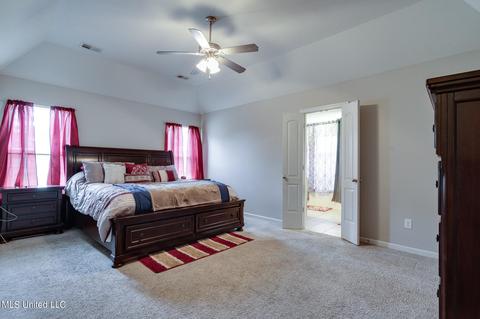 409 Robin Cv, Senatobia, MS 38668 photo 19