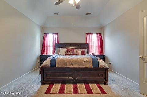 409 Robin Cv, Senatobia, MS 38668 photo 20