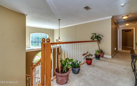 209 Jasmine Dr, Jackson, MS 39212 photo 65
