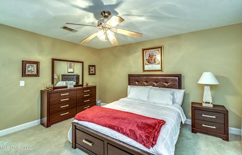 209 Jasmine Dr, Jackson, MS 39212 photo 68