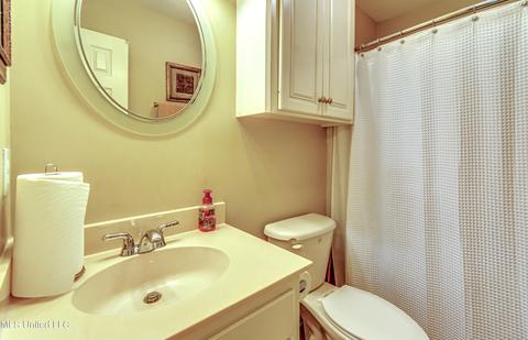 209 Jasmine Dr, Jackson, MS 39212 photo 79