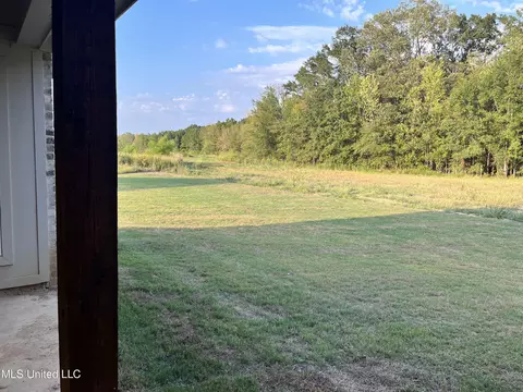 206 Silver Maple Pl #LOT 198, Canton, MS 39046 photo 7