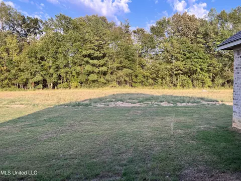 206 Silver Maple Pl #LOT 198, Canton, MS 39046 photo 6