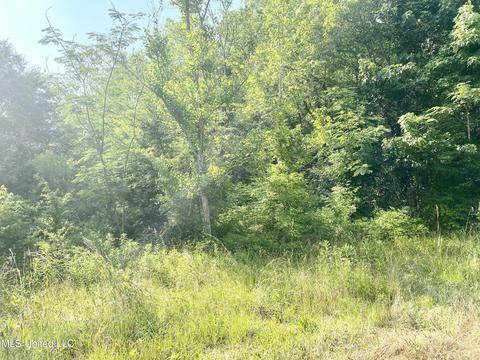 0 W Railroad Ave, Crystal Springs, MS 39059