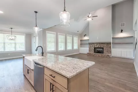 4301 Jenny Lane Ln, Hernando, MS 38632 photo 10