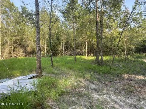 26004 Bowfin Dr, Perkinston, MS 39573